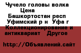 Чучело головы волка › Цена ­ 15 000 - Башкортостан респ., Уфимский р-н, Уфа г. Коллекционирование и антиквариат » Другое   